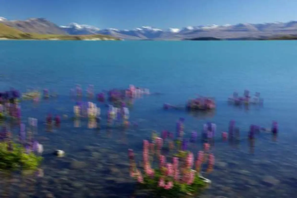 Blurry Lake Tekapo photo restored by Unblur Image (Before)